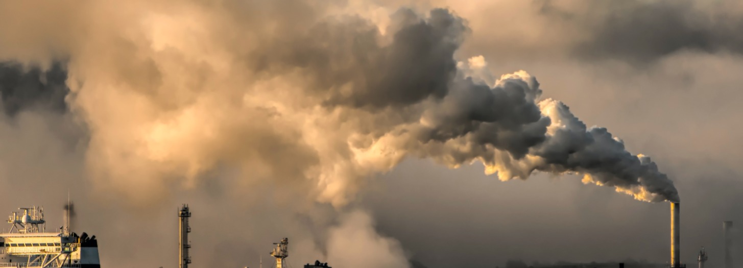 Creature & Co.’s carbon glossary