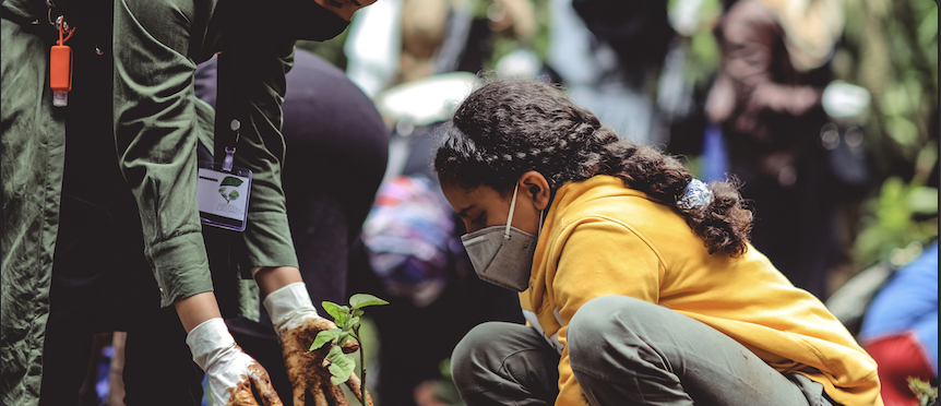 Sustainability: the New ‘Must Have’ USP