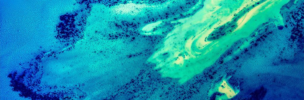 Creature & Co. have joined Clean Creatives