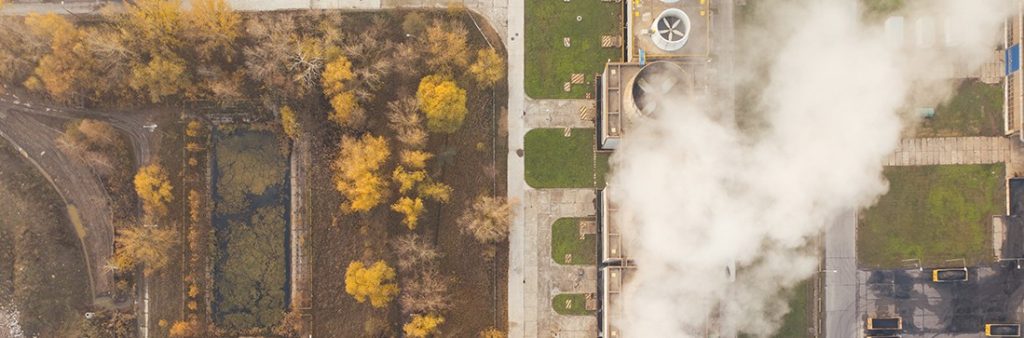 How can carbon transparency help your business? 