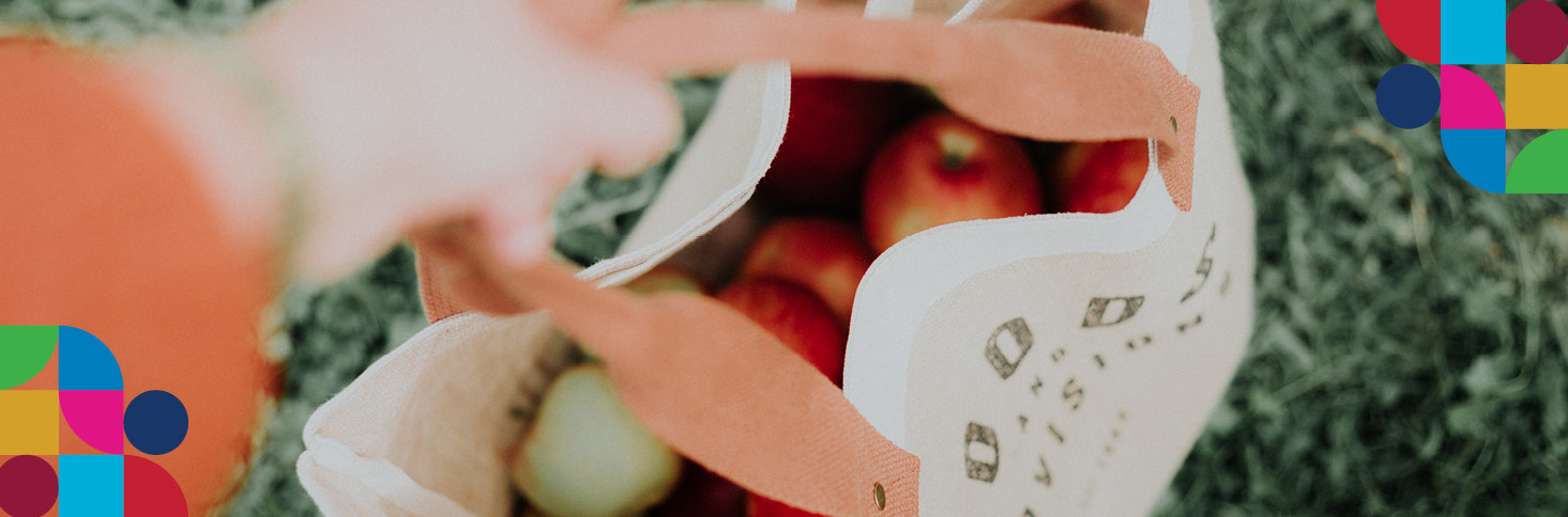 Socio-Economic Outlook UN SDG News July