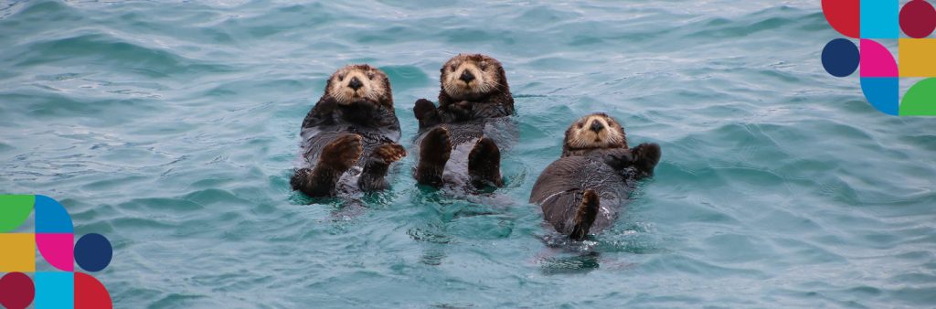 Life on Land – Feel-Good UN SDG News May