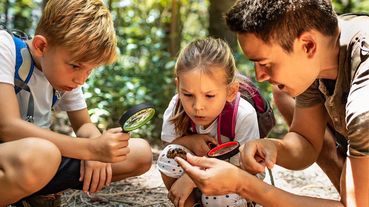Our Five Favourite Games to Teach Kids About the Environment